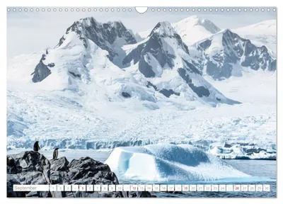 Zwei Pinguine in der Antarktis – Septembermotiv im Kalender von Max Steinwald