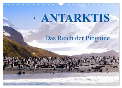 Antarktis – Das Reich der Pinguine 2027 von Max Steinwald