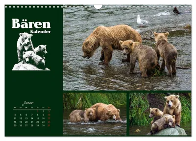 Bärenfamilie in Alaska – Januarmotiv im Bärenkalender von Max Steinwald