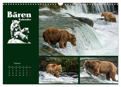 Grizzlybären am Wasserfall – Februarmotiv im Bärenkalender von Max Steinwald