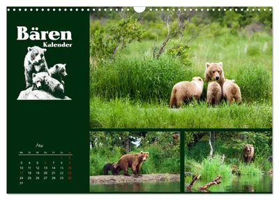 Junge Grizzlybären in der Bärenschule – Maimotiv im Bärenkalender von Max Steinwald