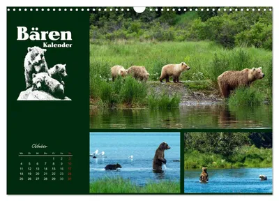 Grizzlybären auf Erkundung – Oktobermotiv im Bärenkalender von Max Steinwald