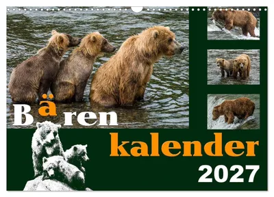 Bärenkalender 2027 von Max Steinwald