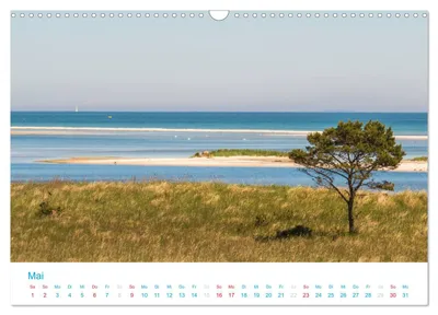 Naturschutzgebiet Darßer Ort – Maimotiv im Darß-Kalender