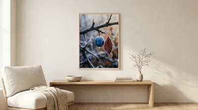 Raumansicht: Frostjuwel der Schlehe