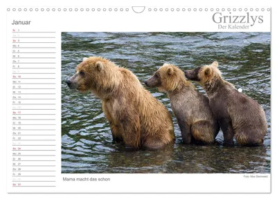 Grizzlymutter mit Jungtier – Januarmotiv