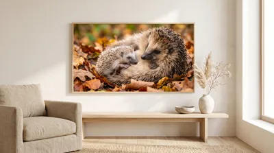 Raumansicht: Igel Familie im Herbst