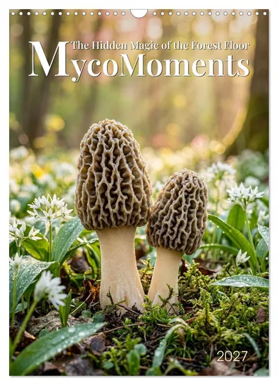 MycoMoments 2027 mushroom calendar by Max Steinwald