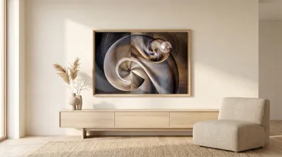 Raumansicht: Nautilus Muschel Fibonacci Folge