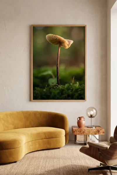 Raumansicht: Pilz im Moos - Naturpoesie