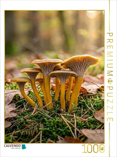 Fotopuzzle Pilz Porträt Trompetenpfifferling von Max Steinwald