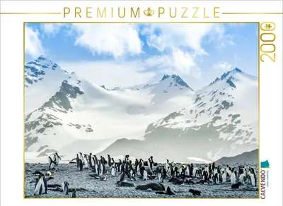 Fotopuzzle mit großer Pinguinkolonie vor verschneiter Bergkulisse von Max Steinwald