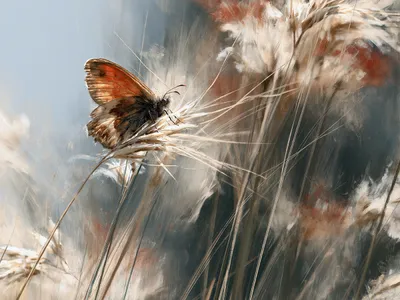 Wandbild Motiv: Schmetterling - Poesie des Windes