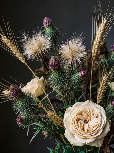 Wandbild Motiv: Stille Dornen – Distel Stillleben in Wabi-Sabi Ästhetik