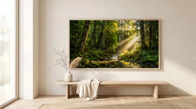Raumansicht: Wald Erwachen